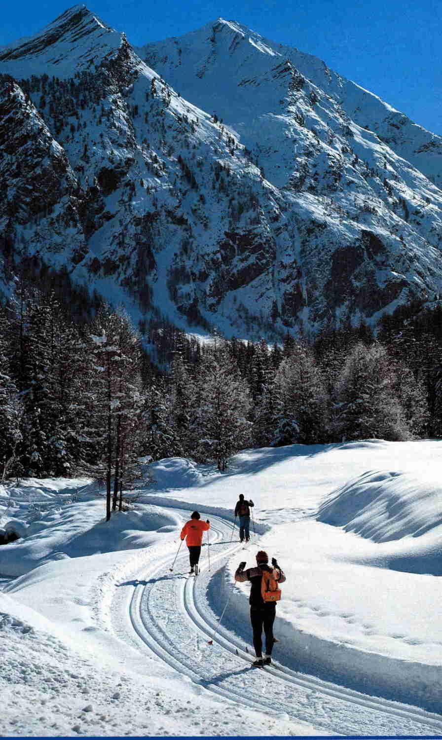 Hotel Tavernier Courmayeur Exterior photo